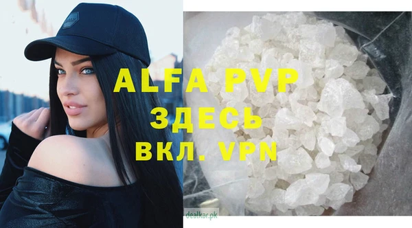 СК Аркадак